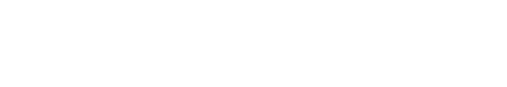 Institute For Security Analysis